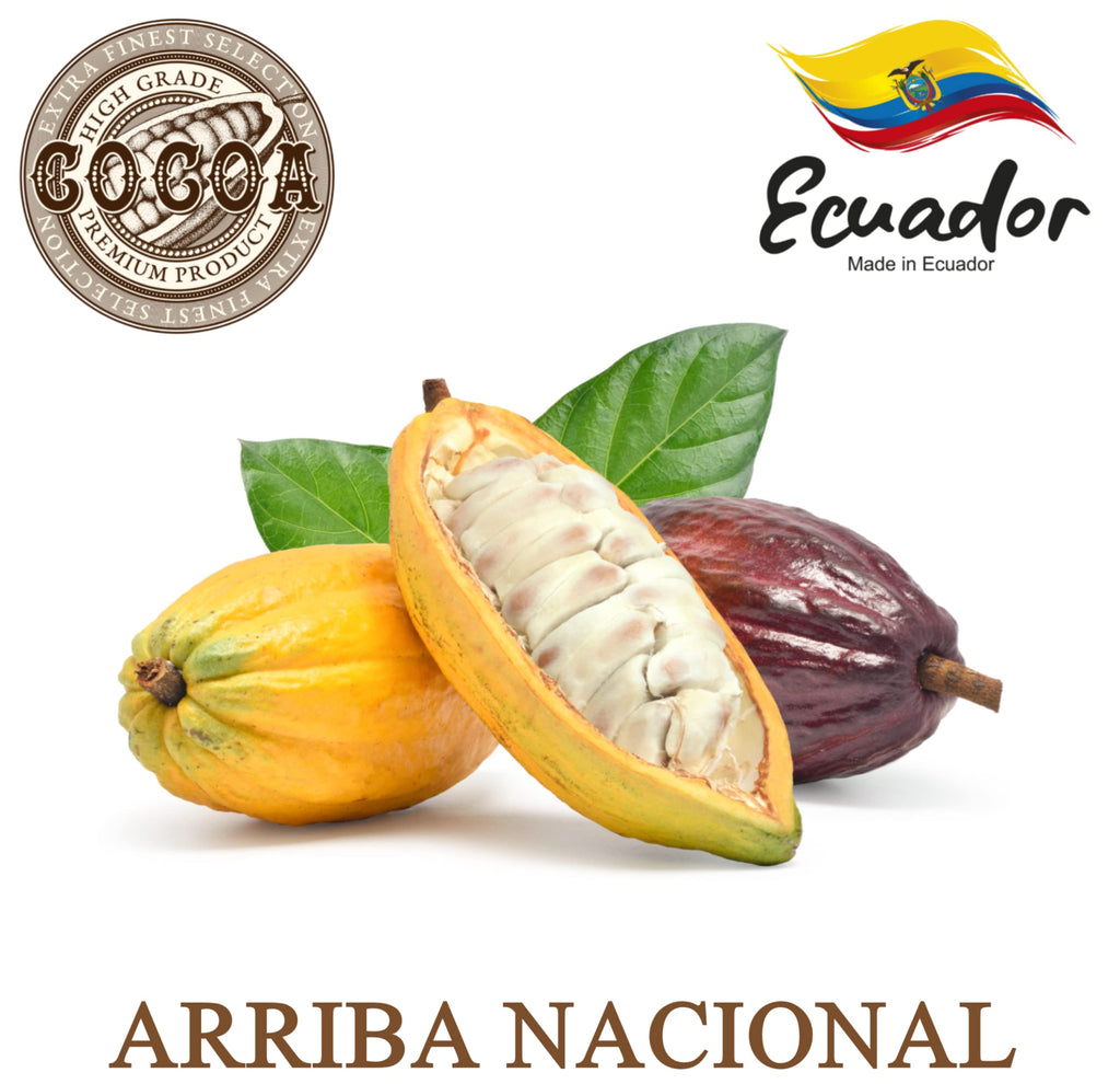 Plant Guru Raw Cocoa Butter 5 lbs Bulk | 100% Pure Arriba Nacional Cacao, Food Grade
