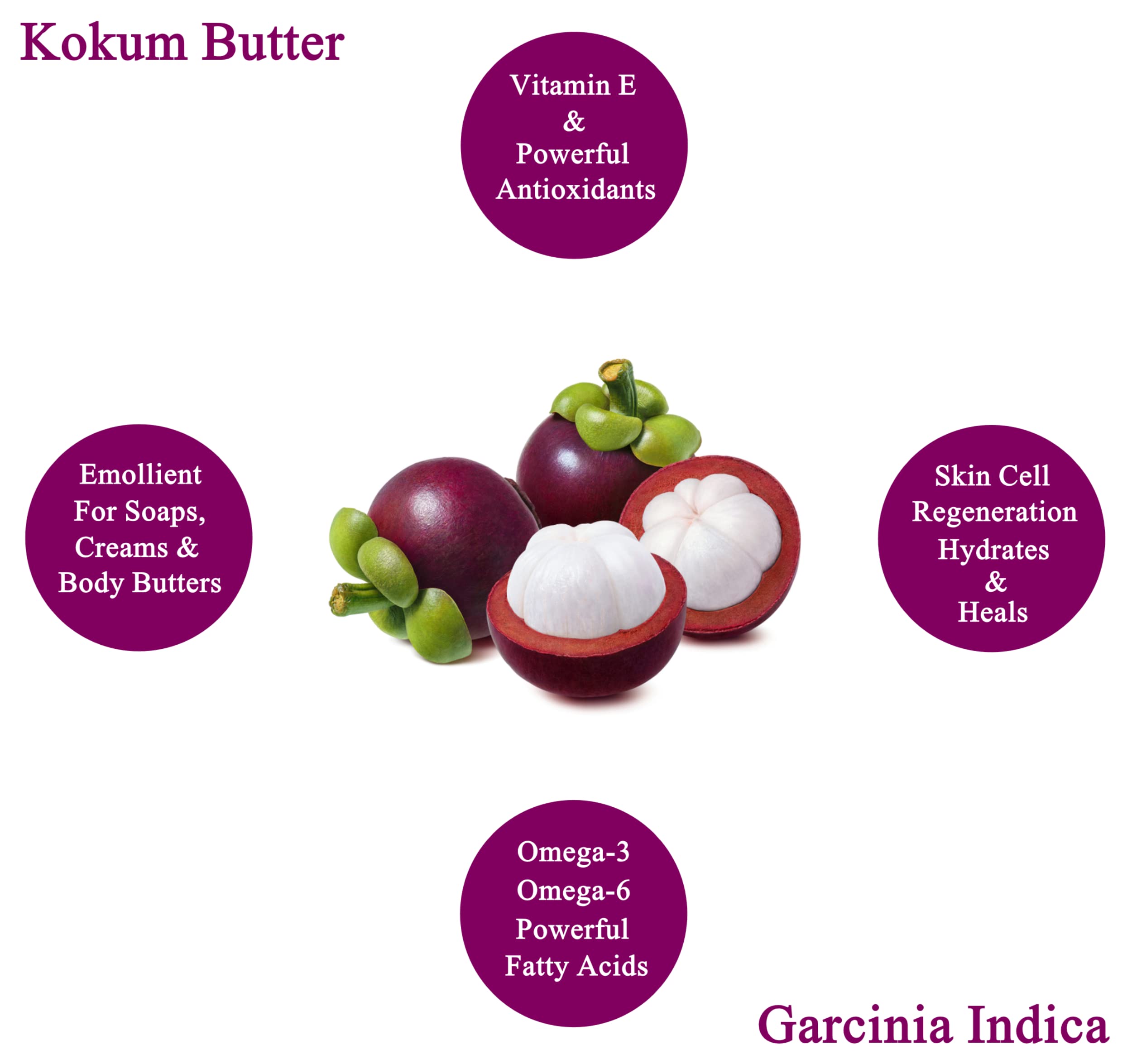 Plant Guru Raw Kokum Butter 16 oz – Pure Cold-Pressed Skin & Hair Moisturizer