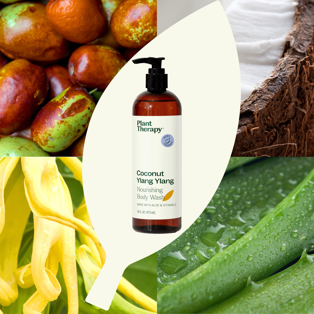 Plant Therapy Coconut Ylang Ylang Natural Body Wash 16 oz – Sulfate Free, All Skin Types
