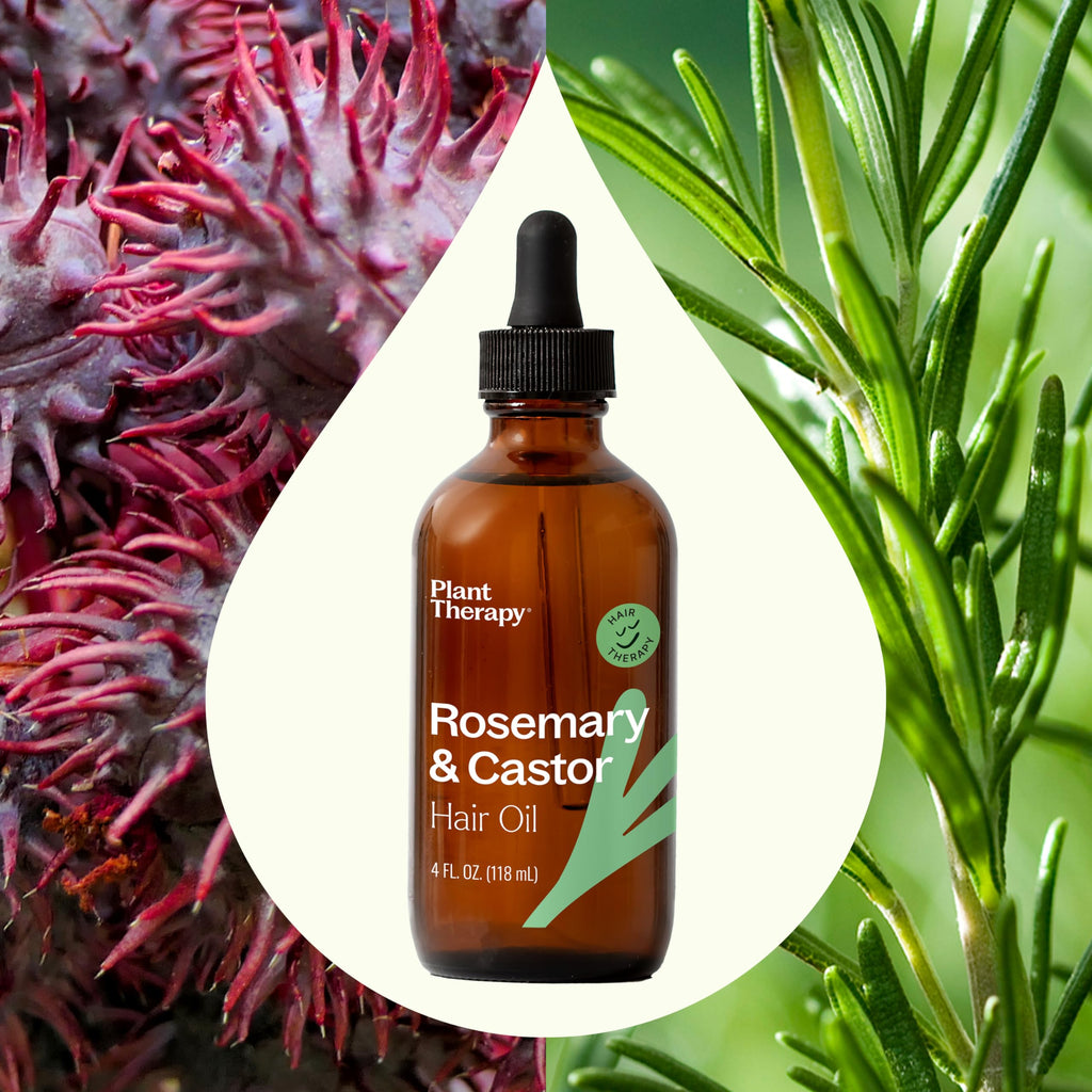 Plant Therapy Rosemary & Castor Oil — 4 oz Hair Growth, Shine & Healthy Scalp Treatment