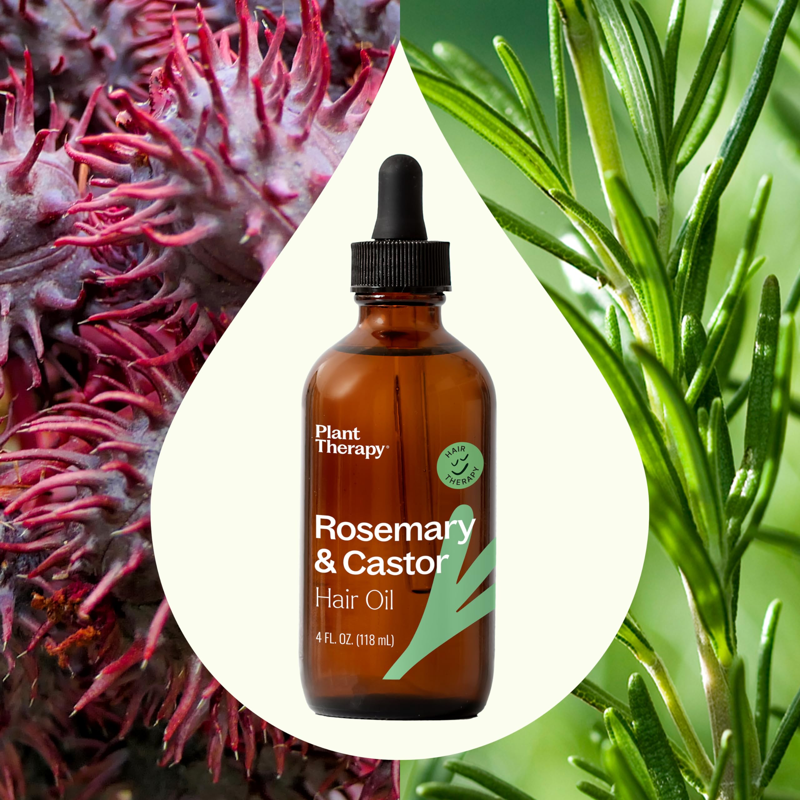 Plant Therapy Rosemary & Castor Oil — 4 oz Hair Growth, Shine & Healthy Scalp Treatment