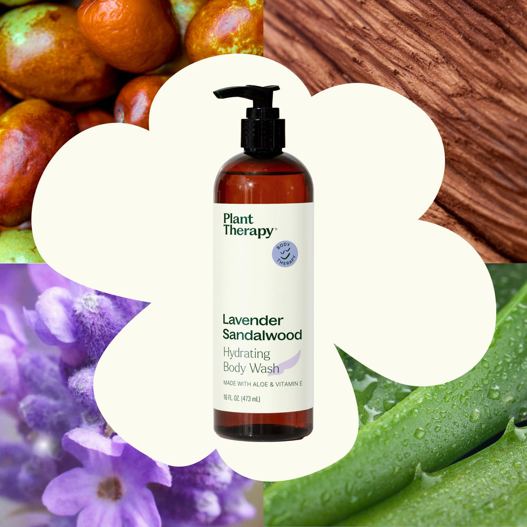 Plant Therapy Lavender Sandalwood Body Wash | Gentle, Sulfate-Free Hydration for All Skin Types (16 oz)