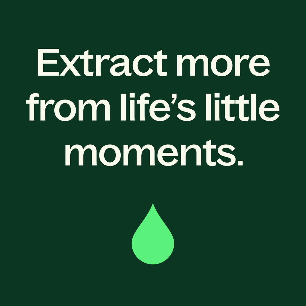 Plant Therapy Peppermint Body Lotion with Aloe & Shea — Hydration for Soft Skin, 8 oz