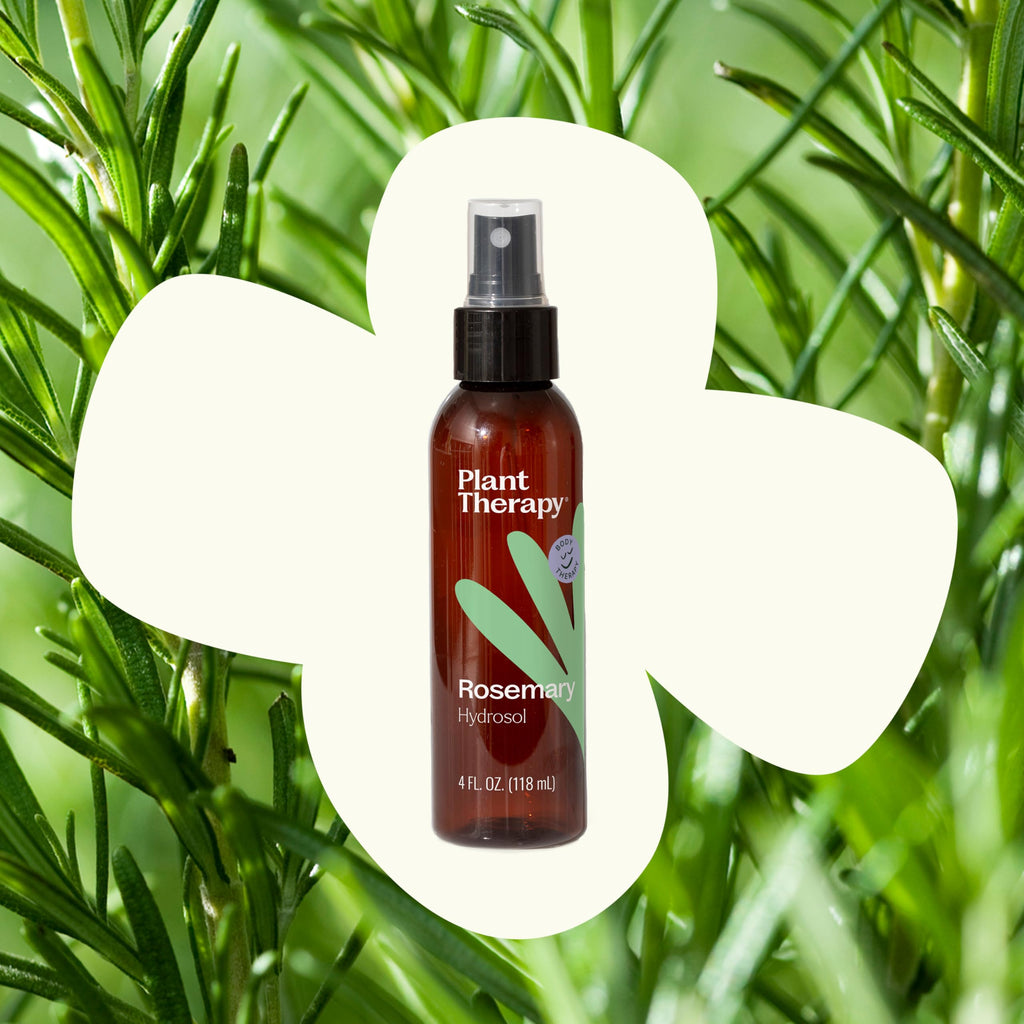 Plant Therapy Rosemary Hydrosol 4 oz (Flower Water) – Pack of 2