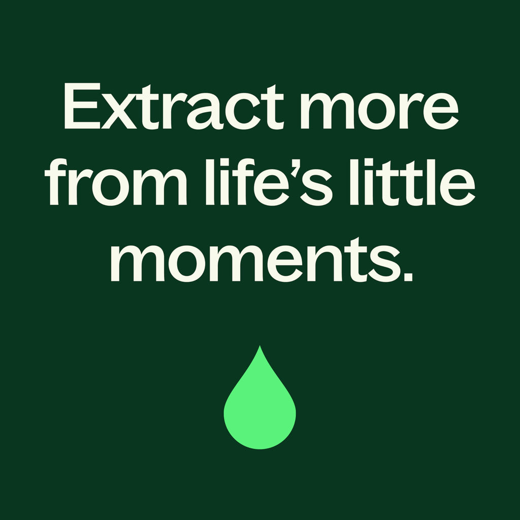 Plant Therapy Tea Tree Body Lotion with Aloe & Shea – Hydrate and Nourish Skin (8 oz)
