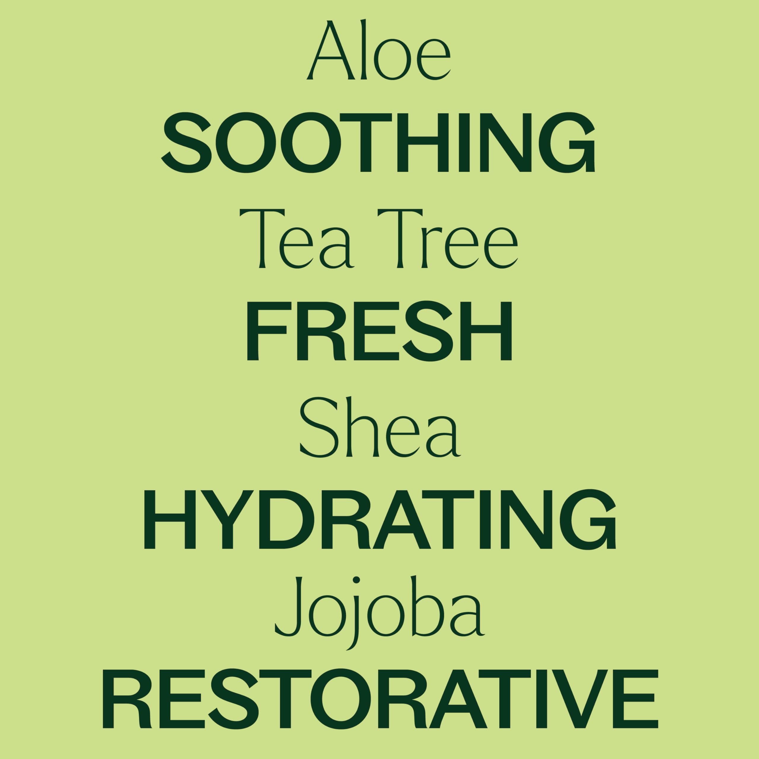 Plant Therapy Tea Tree Body Lotion with Aloe & Shea – Hydrate and Nourish Skin (8 oz)