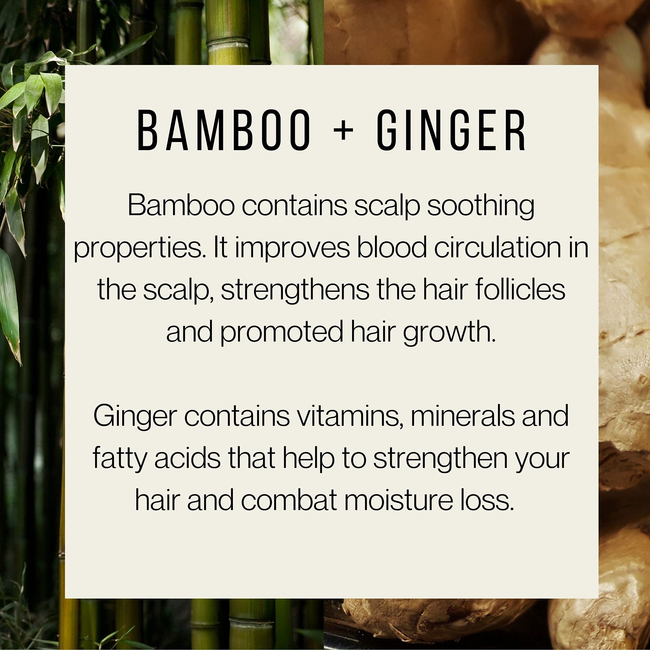 Plantanicals Hair Strengthening Shampoo with Bamboo & Ginger | Revitalizing - 15.2 fl oz
