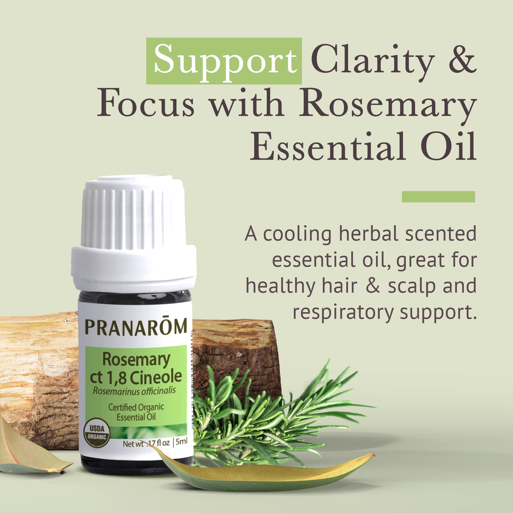 Pranarom USDA Certified Organic Rosemary Cineole Essential Oil (5ml) – 100% Pure Therapeutic Grade