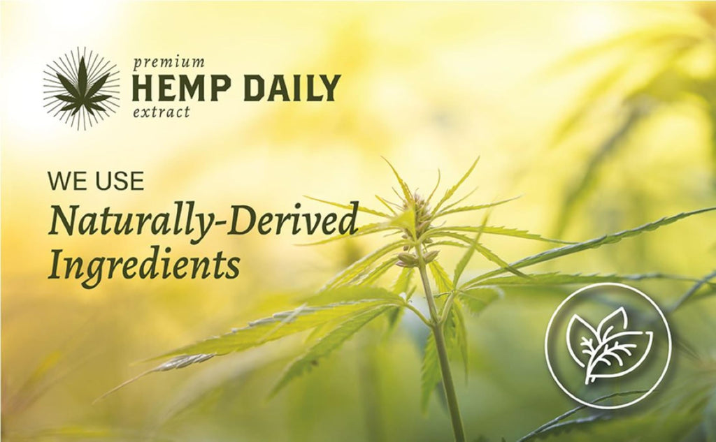 Premium Hemp Daily Cream - Menthol, Argan, Jojoba & Rosehips | Lightweight, Fast-Absorbing Moisturizer | 1.7 oz Pack of 2 | USA-Made, Cruelty-Free