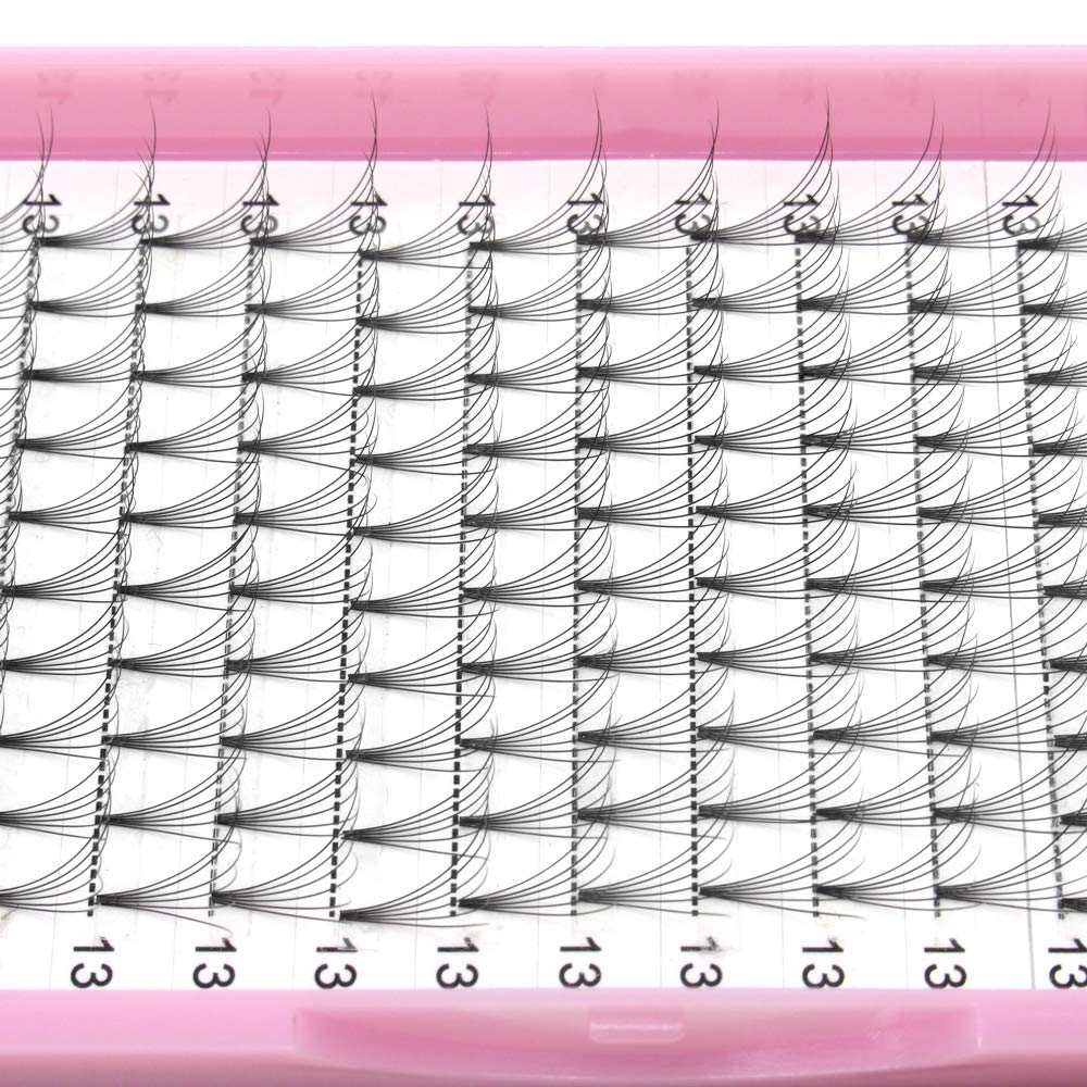 PRO LASHBEAUTY Premade Volume Lashes 6D-0.07/0.10, Short Stem, 18mm (C/D Curl)