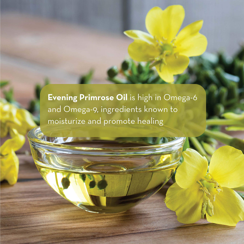 Pure Body Naturals Evening Primrose Oil – Liquid 4 oz for Skin & Hair