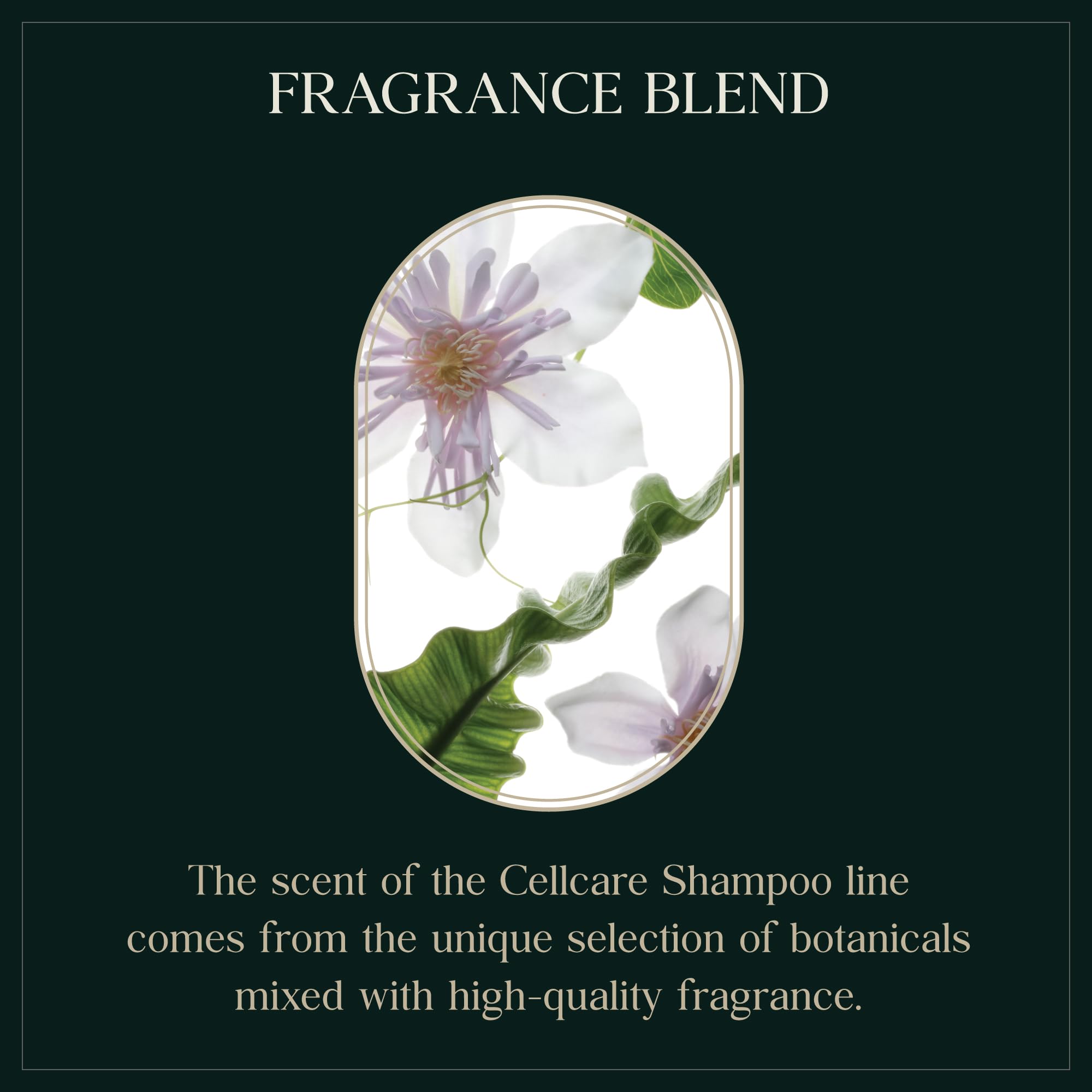 PUREBBLE Rebalancing Botanic Shampoo 500ml | Sulfate-Free, Color-Safe, pH 5.5