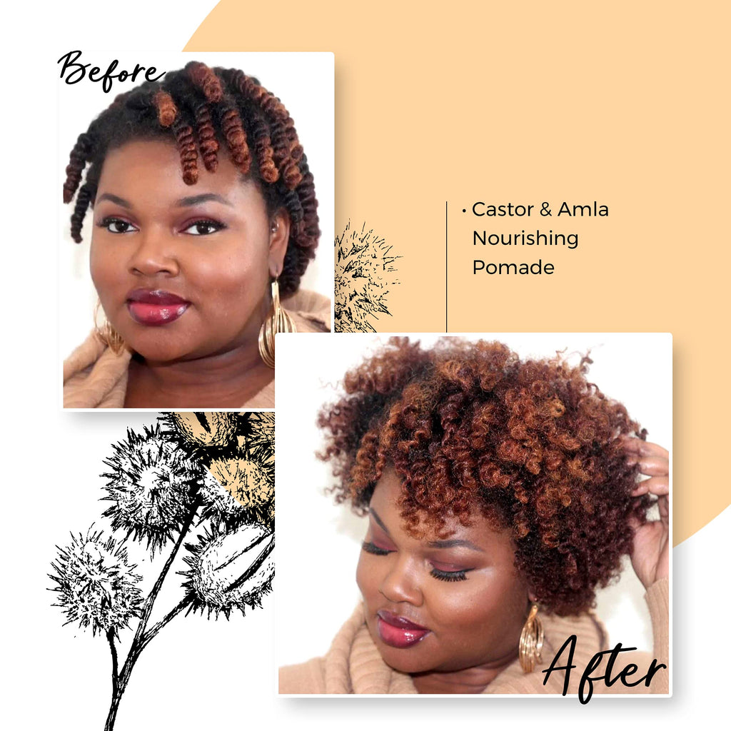 Qhemet Biologics Castor & Amla Nourishing Pomade – Vegan Scalp Conditioner for 4C Hair, Locs & Protective Styles (4 oz)