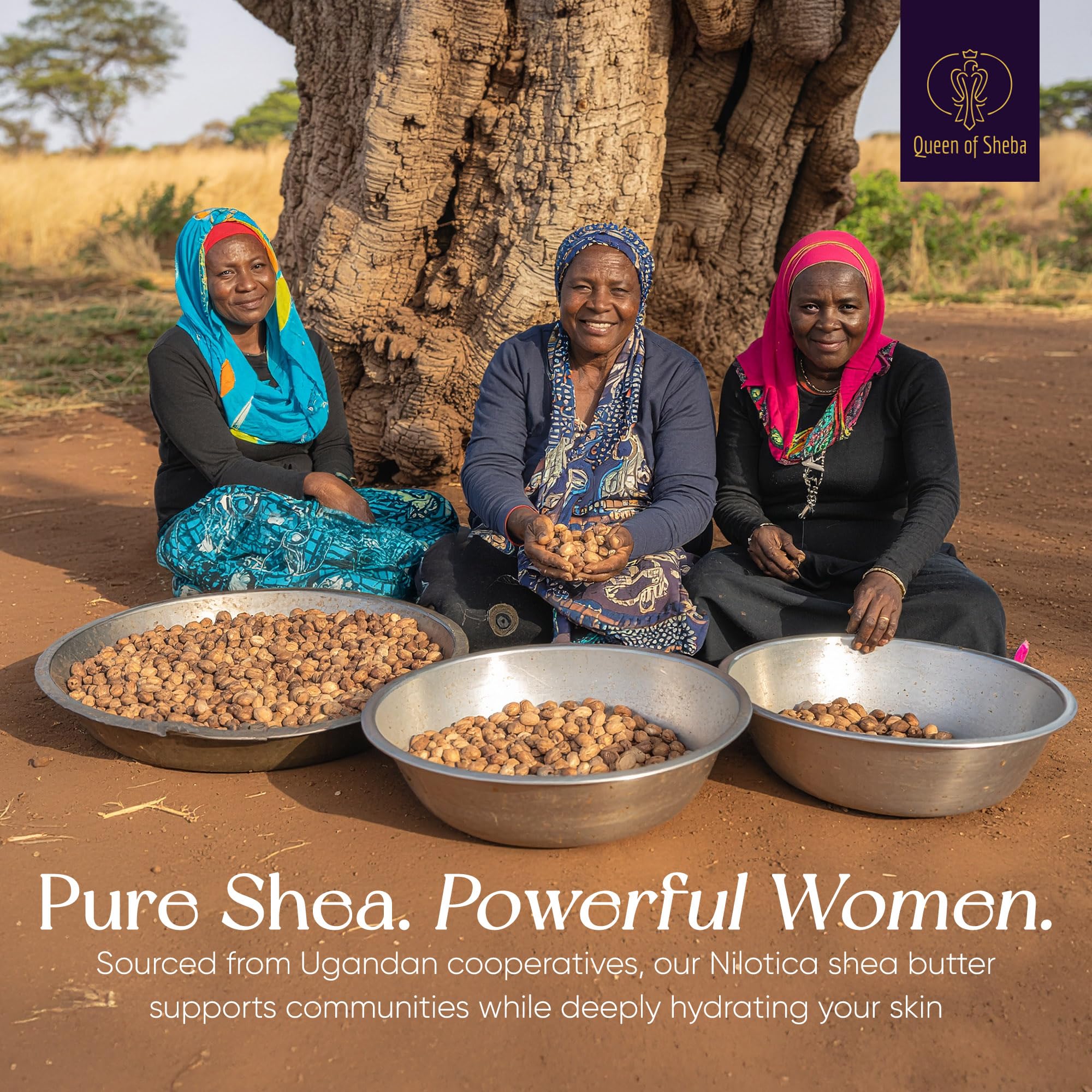 Queen of Shea African Raw Organic Shea Butter – 8 oz, Japanese Cherry Blossom, USDA Certified, All Skin Types