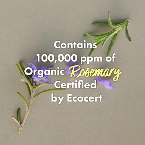 RATED GREEN Rosemary Balancing Scalp Pack | Organic Cold Brewed Charcoal | 2-in-1 Detoxifying Hair Mask