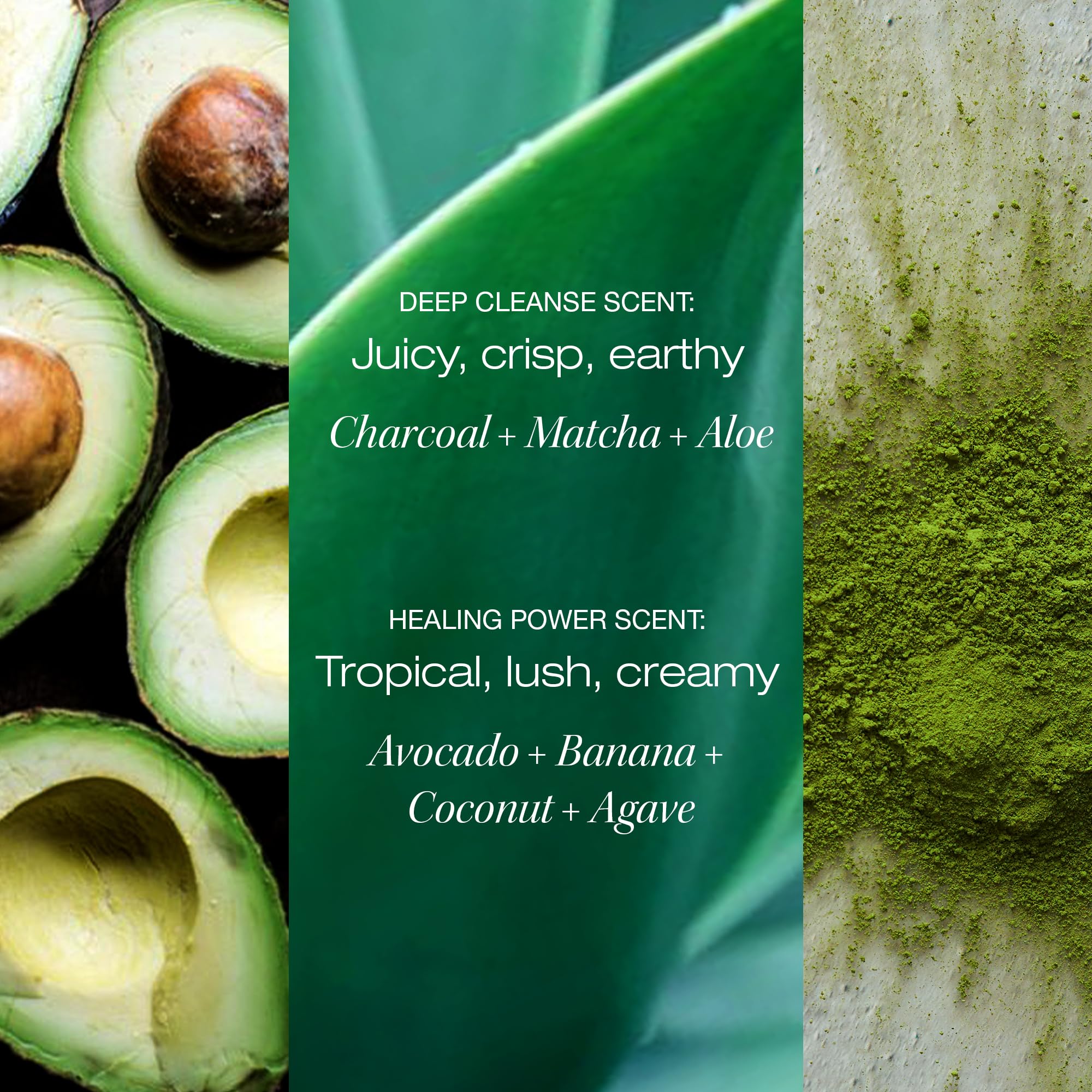 Raw Sugar Deep Cleanse Shampoo & Moisture Smoothie Mask Duo – SLS/SLES & Paraben-Free, Vegan
