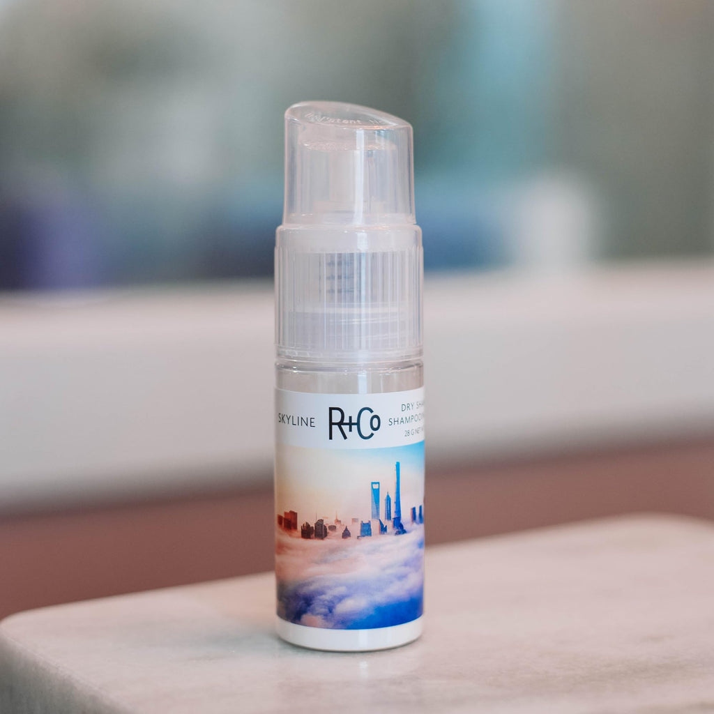 R+Co Skyline Dry Shampoo Powder | Intense Oil Absorption & Volume | TSA Approved | 1 fl oz