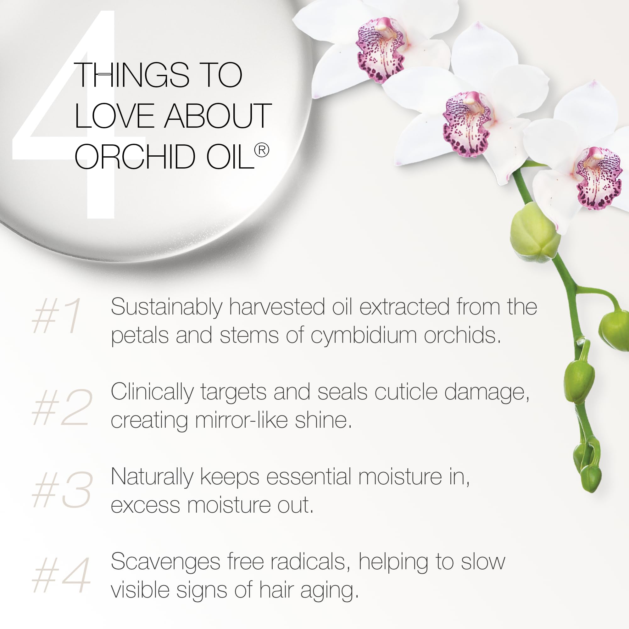 Redavid Orchid Oil Curl Defining Creme — Ultra Nourishing Curl Texture Enhancer for Hydration, Strength & Definition