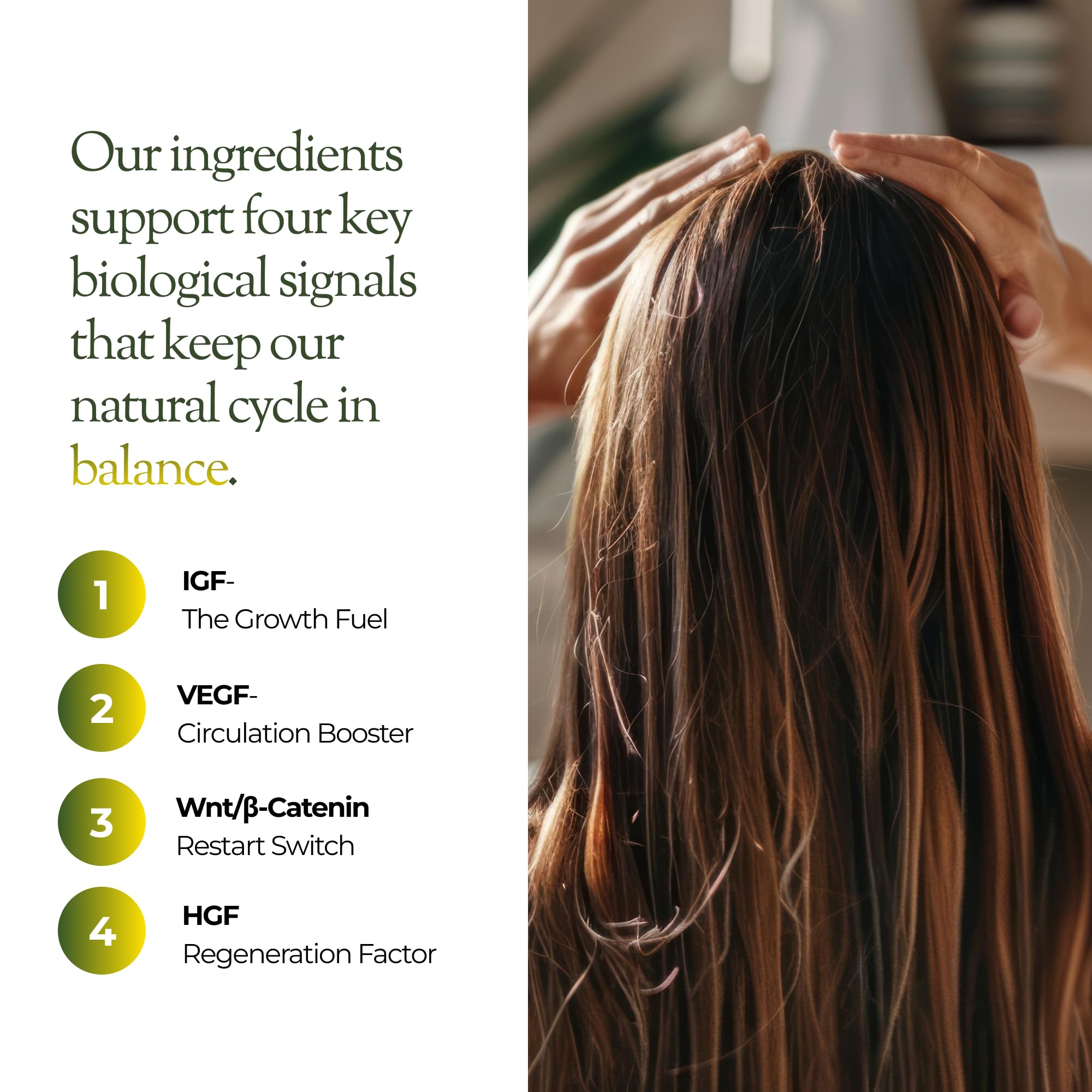 regener8 Hair & Scalp Oil for Women – Natural Support for Hormone-Related Hair Loss