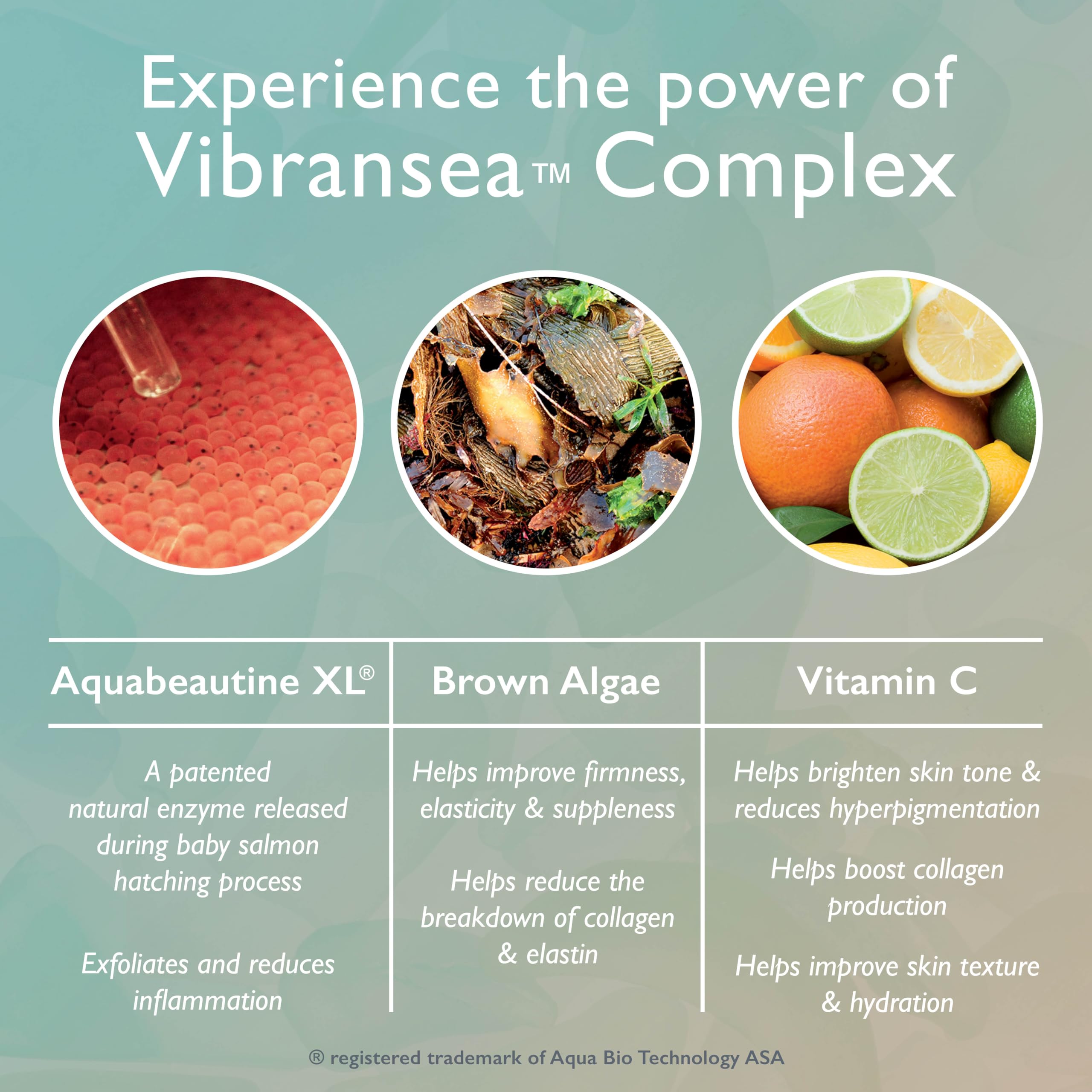 Restorsea Restoring Night Cream – Hydrating, Hypoallergenic Night Cream for Normal to Dry Skin | Vibransea Complex