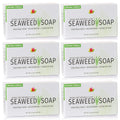 Reviva Seaweed Soap 6 Pack – Organic Exfoliating Bar for Face & Body | Made in USA