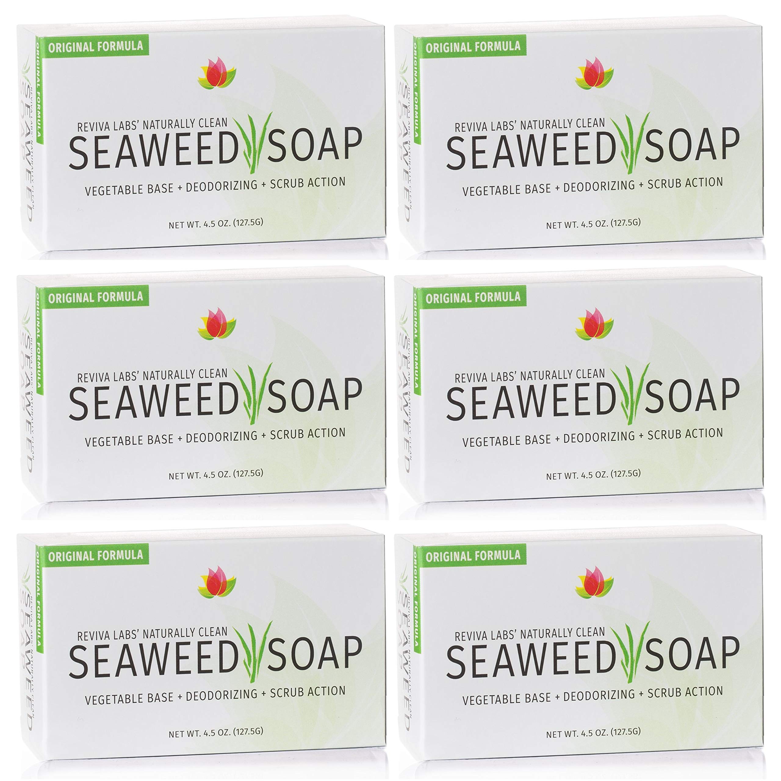 Reviva Seaweed Soap 6 Pack – Organic Exfoliating Bar for Face & Body | Made in USA
