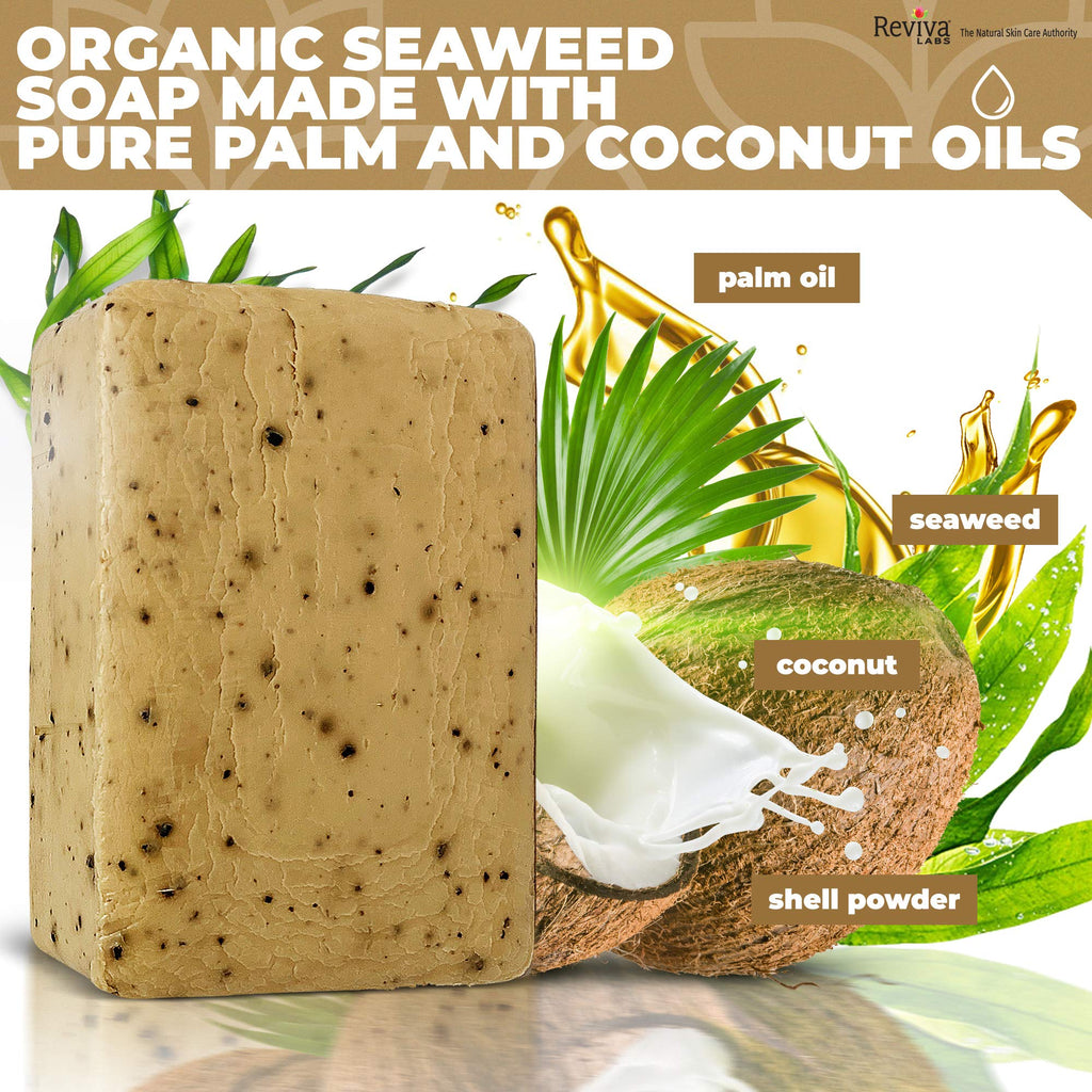 Reviva Seaweed Soap 6 Pack – Organic Exfoliating Bar for Face & Body | Made in USA