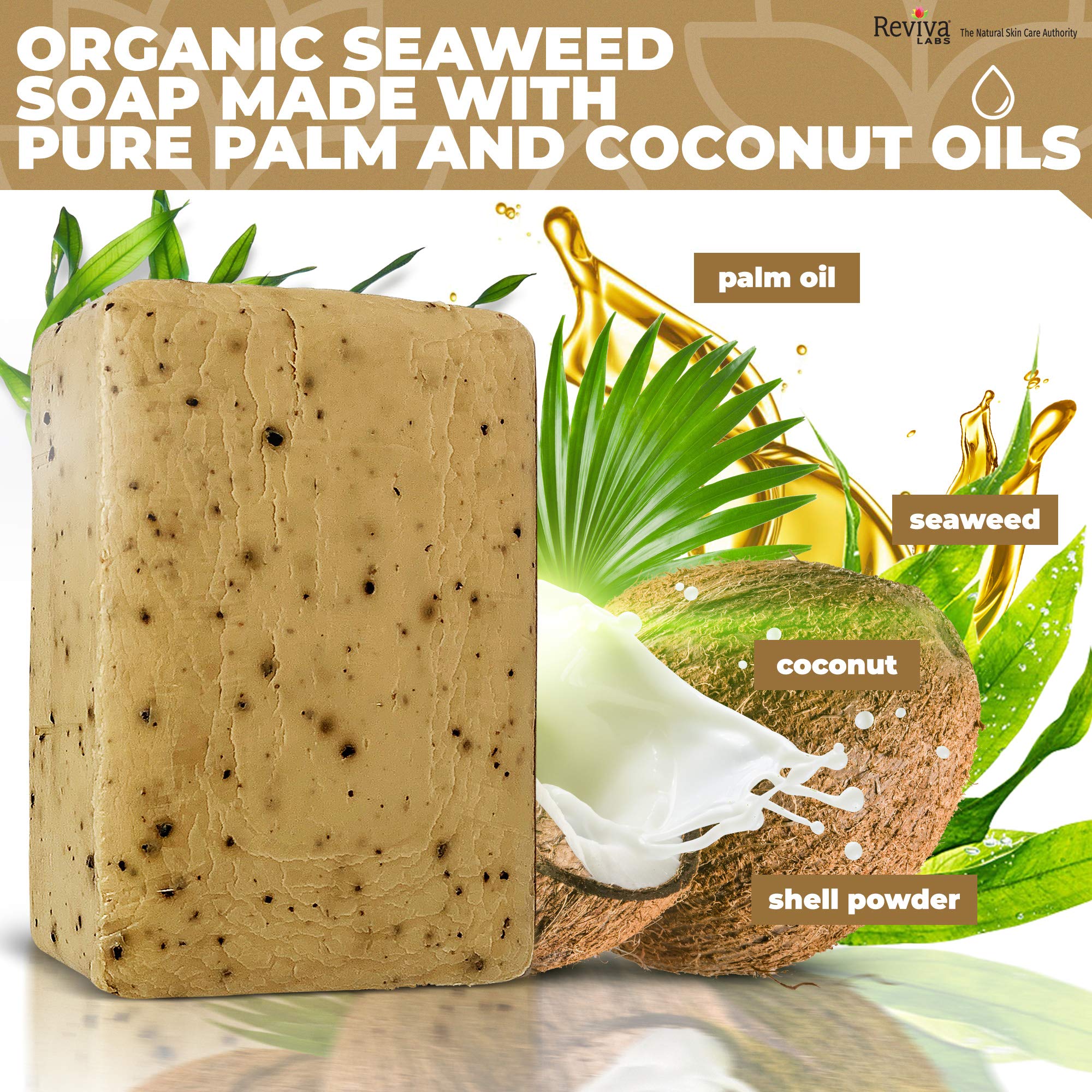 Reviva Seaweed Soap 6 Pack – Organic Exfoliating Bar for Face & Body | Made in USA