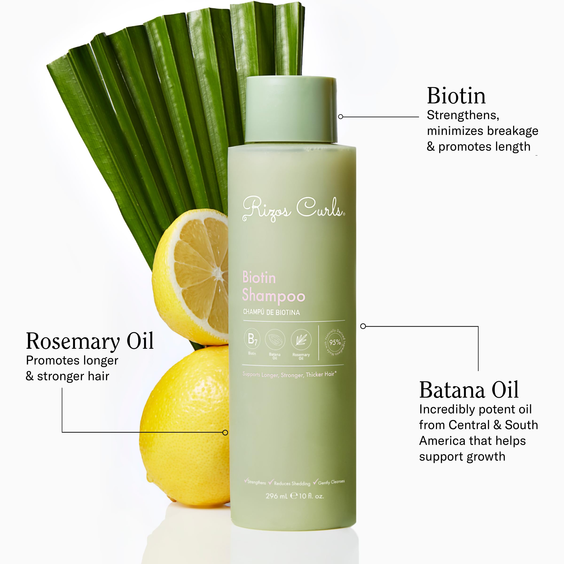 Rizos Curls Biotin Shampoo – Gentle Cleanse, Strengthen & Nourish Hair, Sulfate & Paraben Free
