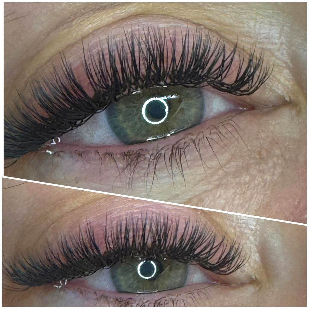 U Collection Lashes – 2DU, 3DU, 4DU & 5DU Mixed Tray