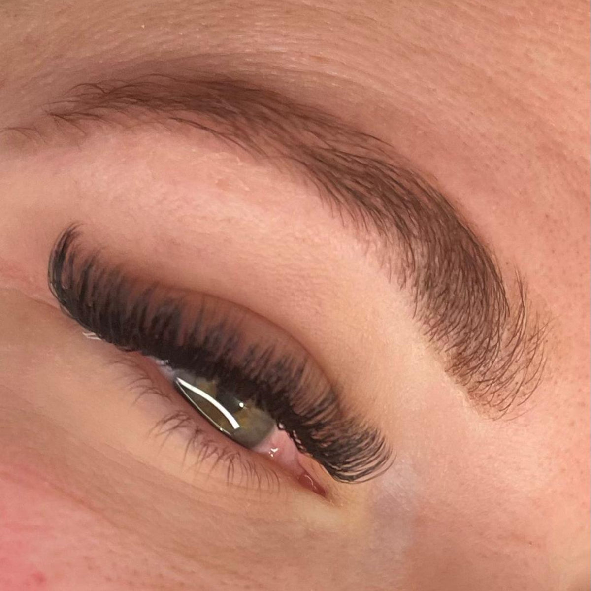 U Collection Lashes – 2DU, 3DU, 4DU & 5DU Mixed Tray