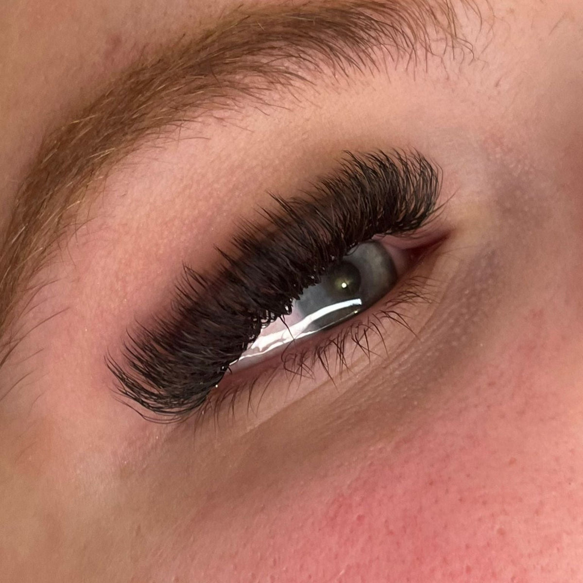 U Collection Lashes – 2DU, 3DU, 4DU & 5DU Mixed Tray