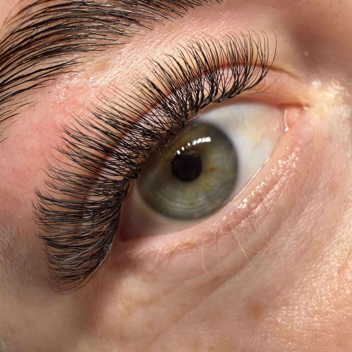 U Collection Lashes – 2DU, 3DU, 4DU & 5DU Mixed Tray