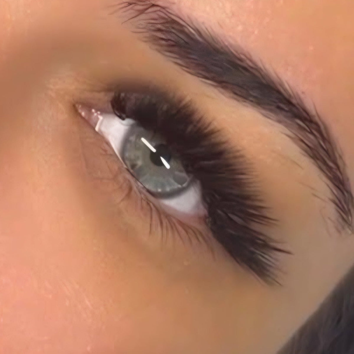 Platinum L Curl Volume Lashes 16 Row Mixed Tray