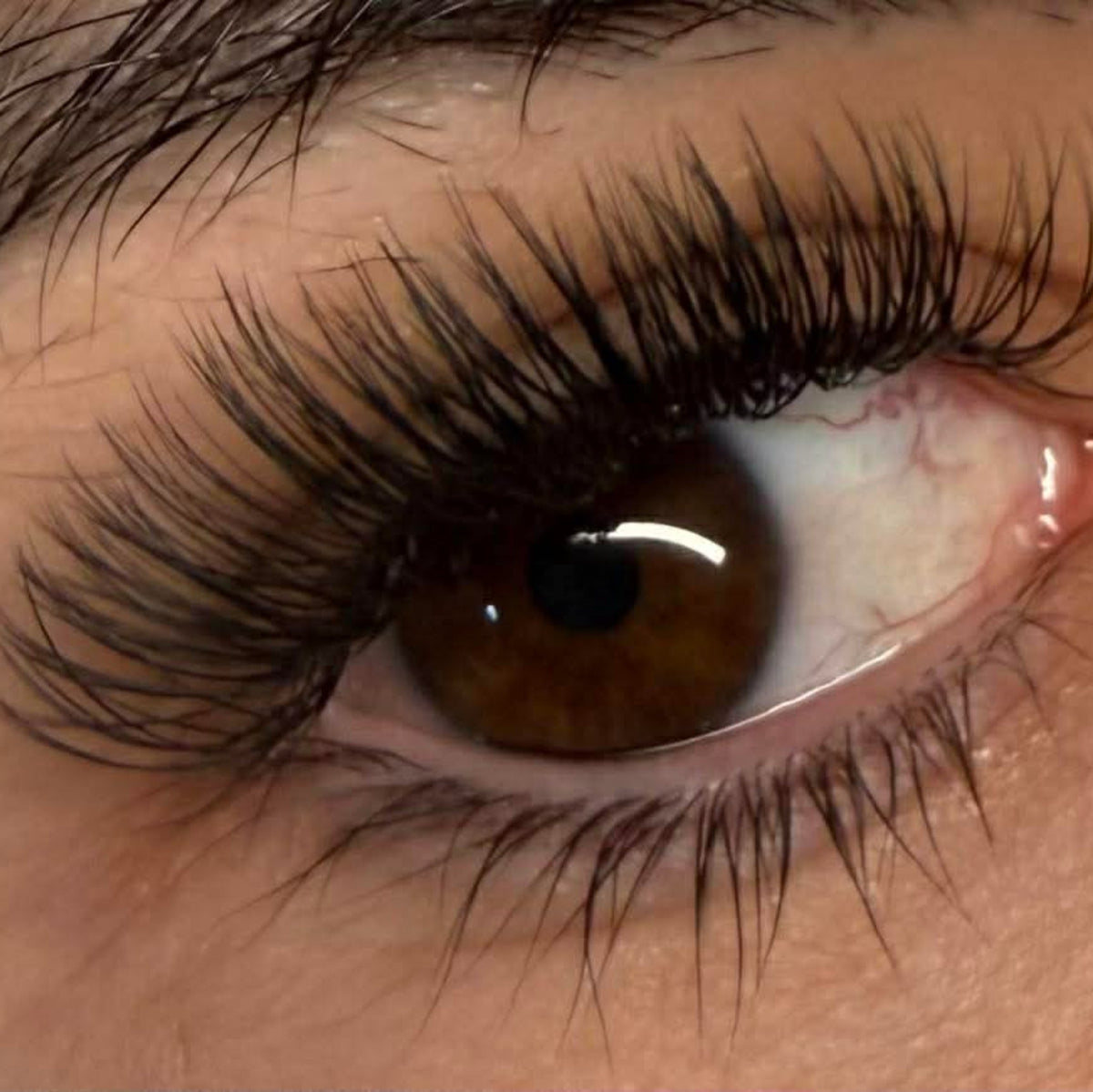 U Collection Lashes – 2DU, 3DU, 4DU & 5DU Mixed Tray