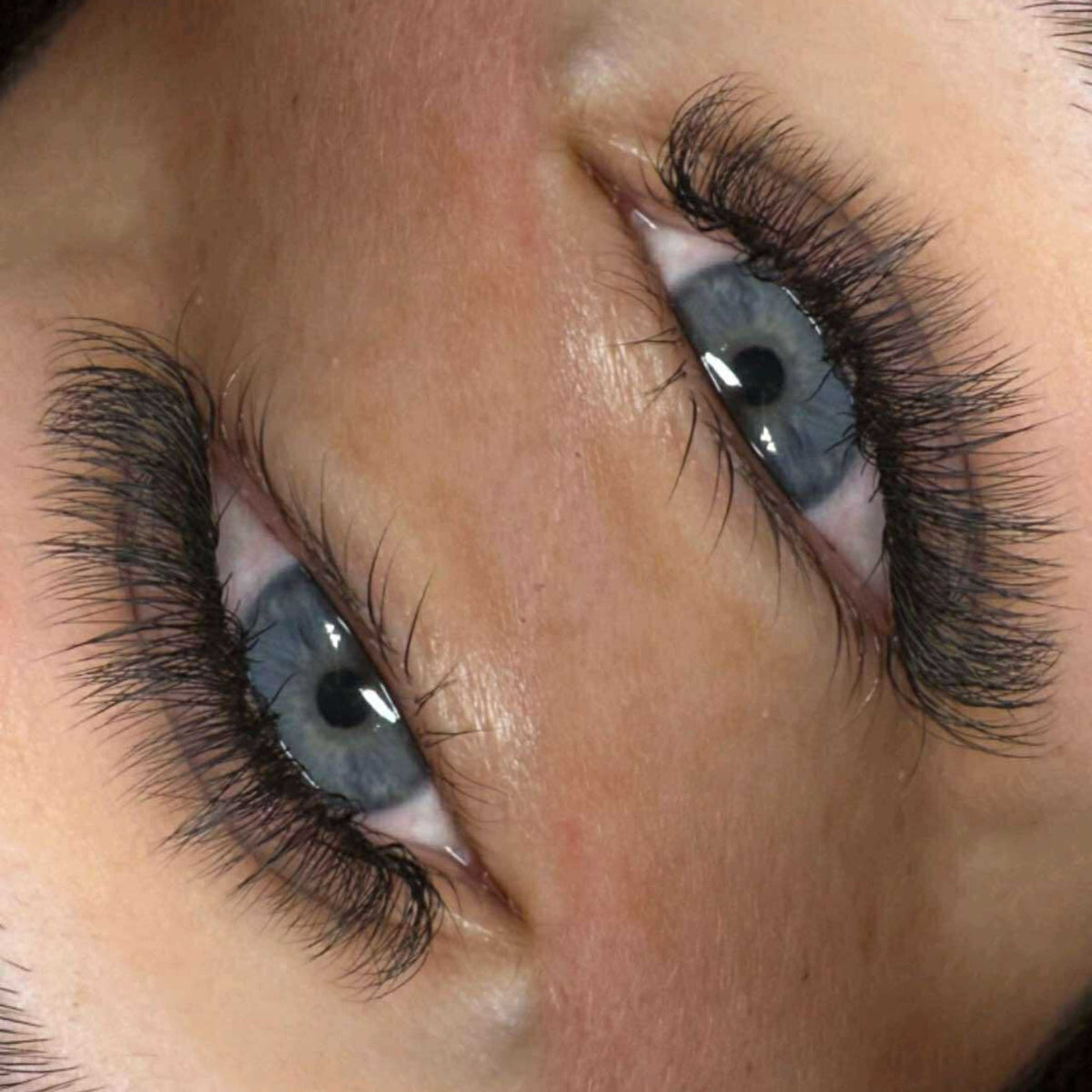 U Collection Lashes – 2DU, 3DU, 4DU & 5DU Mixed Tray