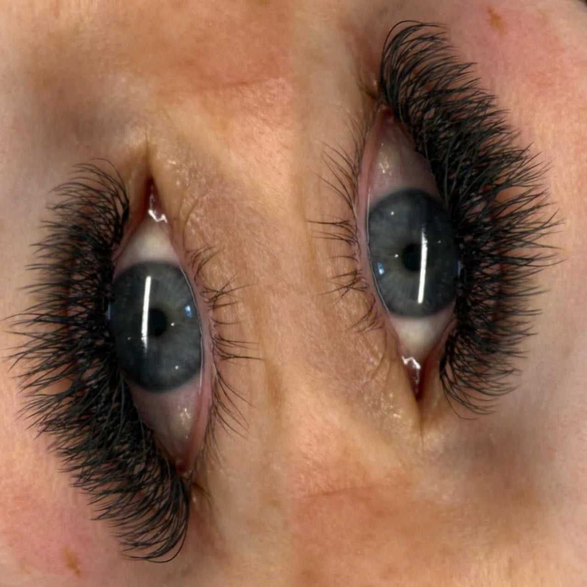 W Lashes – Mixed Tray