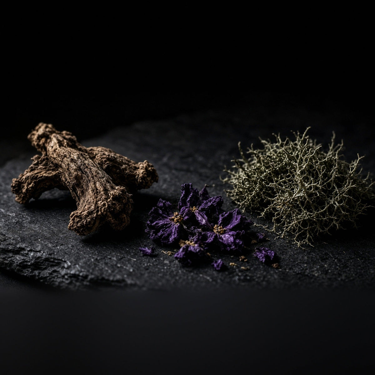 Faqqua Iris: A Scent for Gaza | Royal Iris and Oak Moss