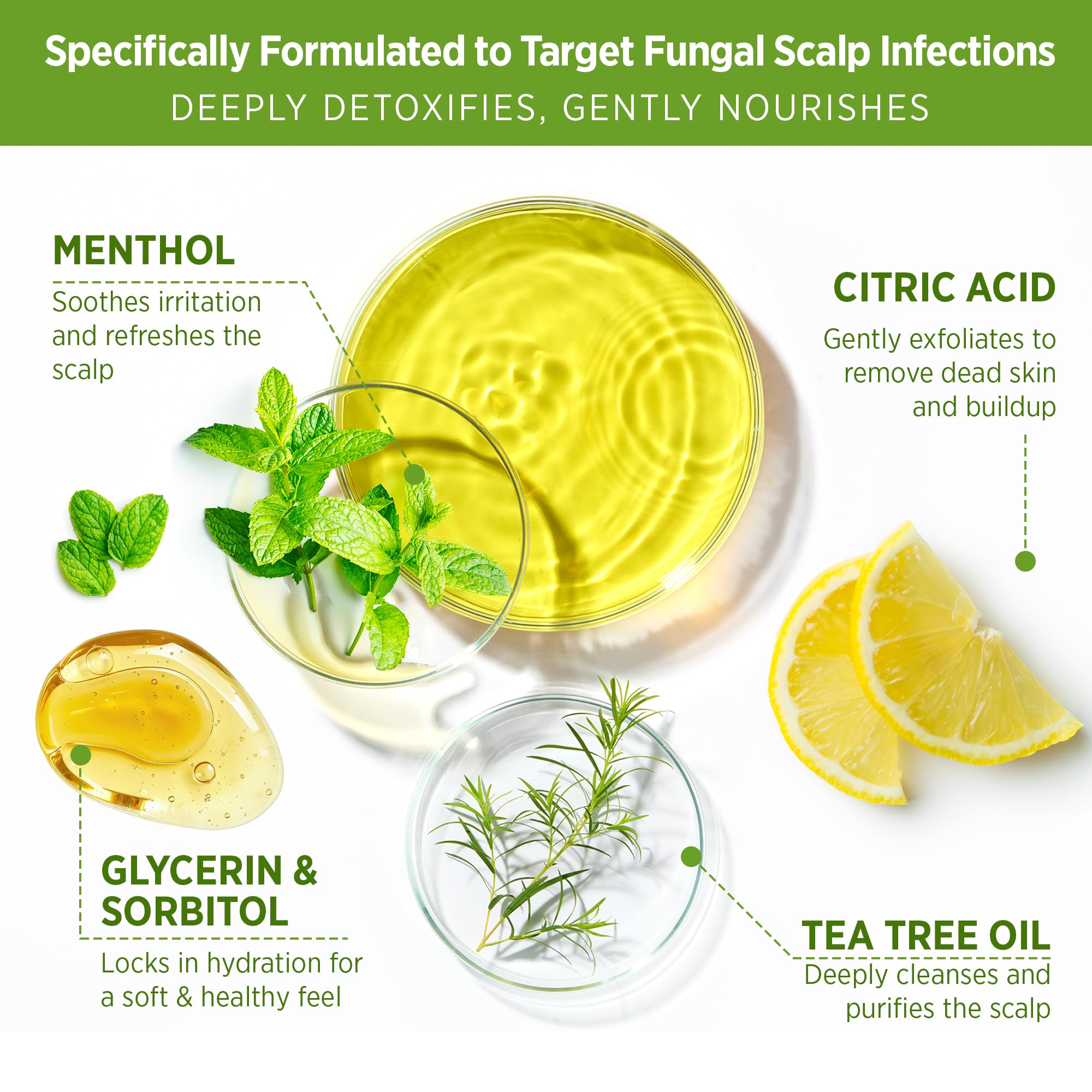 Roycederm Tea Tree Scalp Scrub with Scalp Massager Brush – Deep Cleansing Pre-Shampoo Treatment