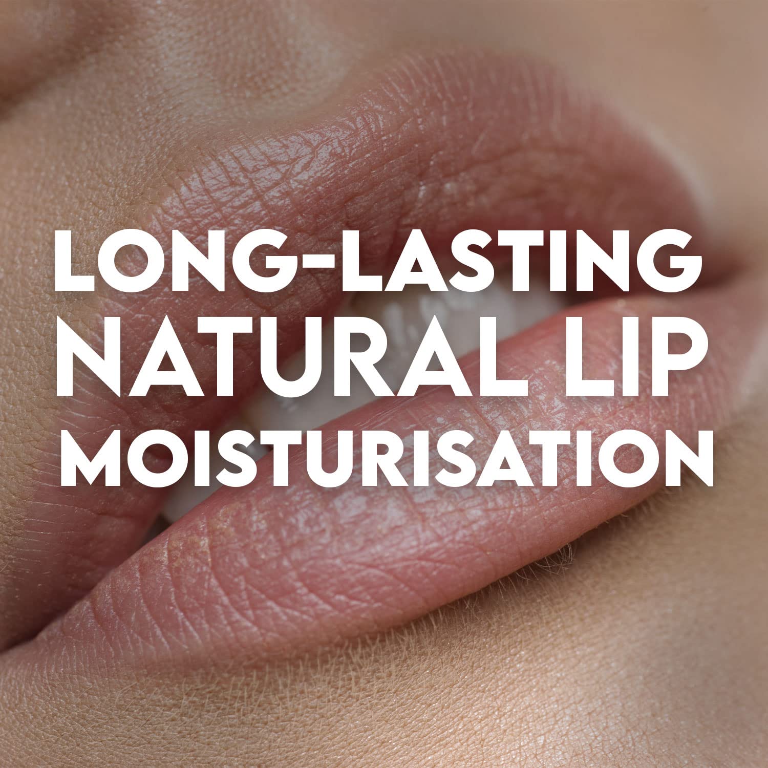 Salt Range Lip Balm with Cherry & Shea Butter – Hydrating Organic Lip Moisturizer, 12-Count Pack