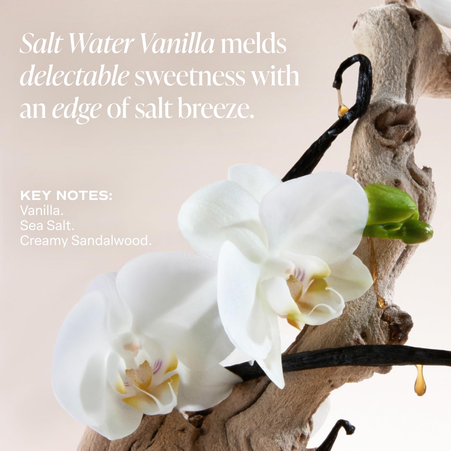 Saltair Serum Deodorant Salt Water Vanilla 2 Pack — 5% AHA Formula, Aluminum-Free Odor Control