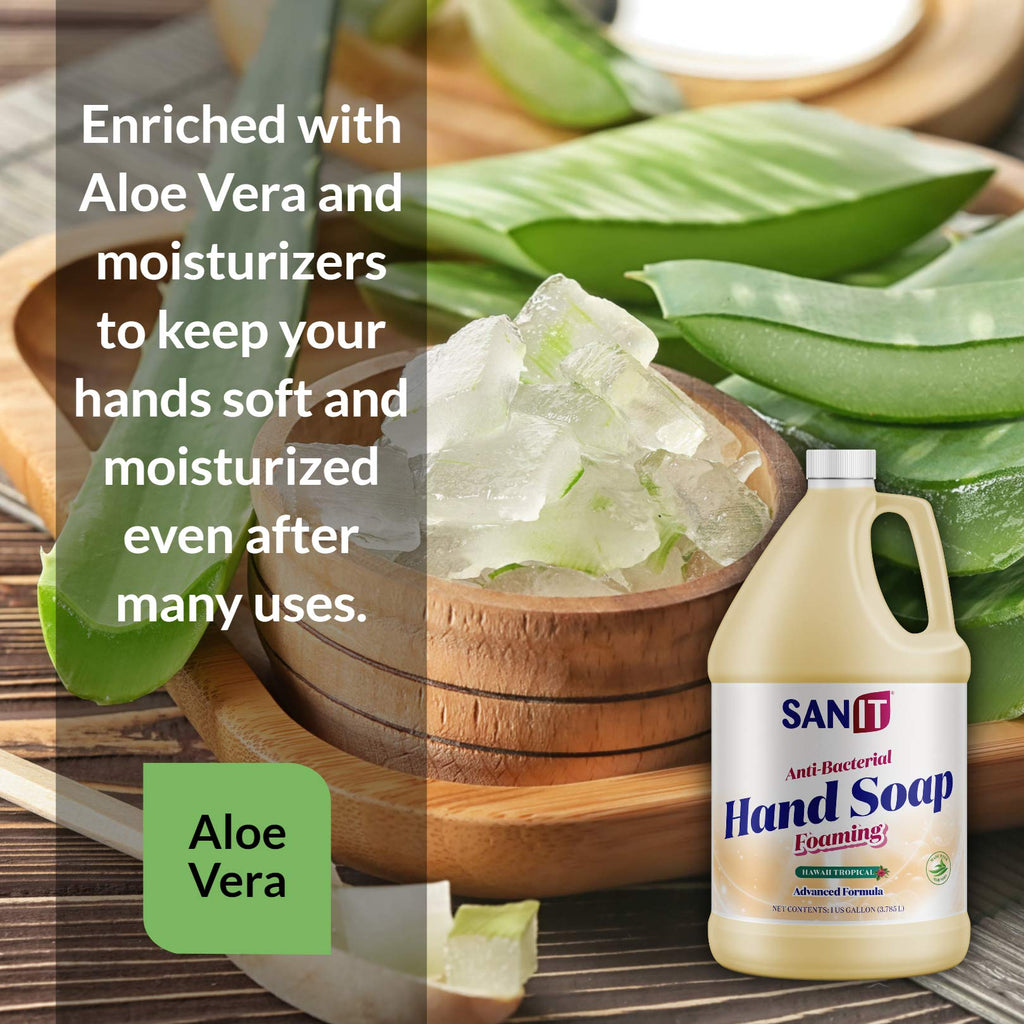 Sanit Antibacterial Foaming Hand Soap Refill – Aloe Vera Moisturizers | Made in USA
