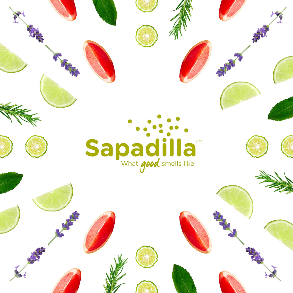 Sapadilla Rosemary + Peppermint Liquid Hand Soap | 12 oz x2 Pack – Plant-Based, Biodegradable