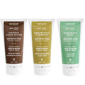 Scentuals Hand Cream Set of 3 – Shea & Cocoa Butter Rich Formula with Argan & Almond Oils, 60 ml Each – Grapefruit Turmeric, Rosemary Mint & Coconut Cocoa Butter