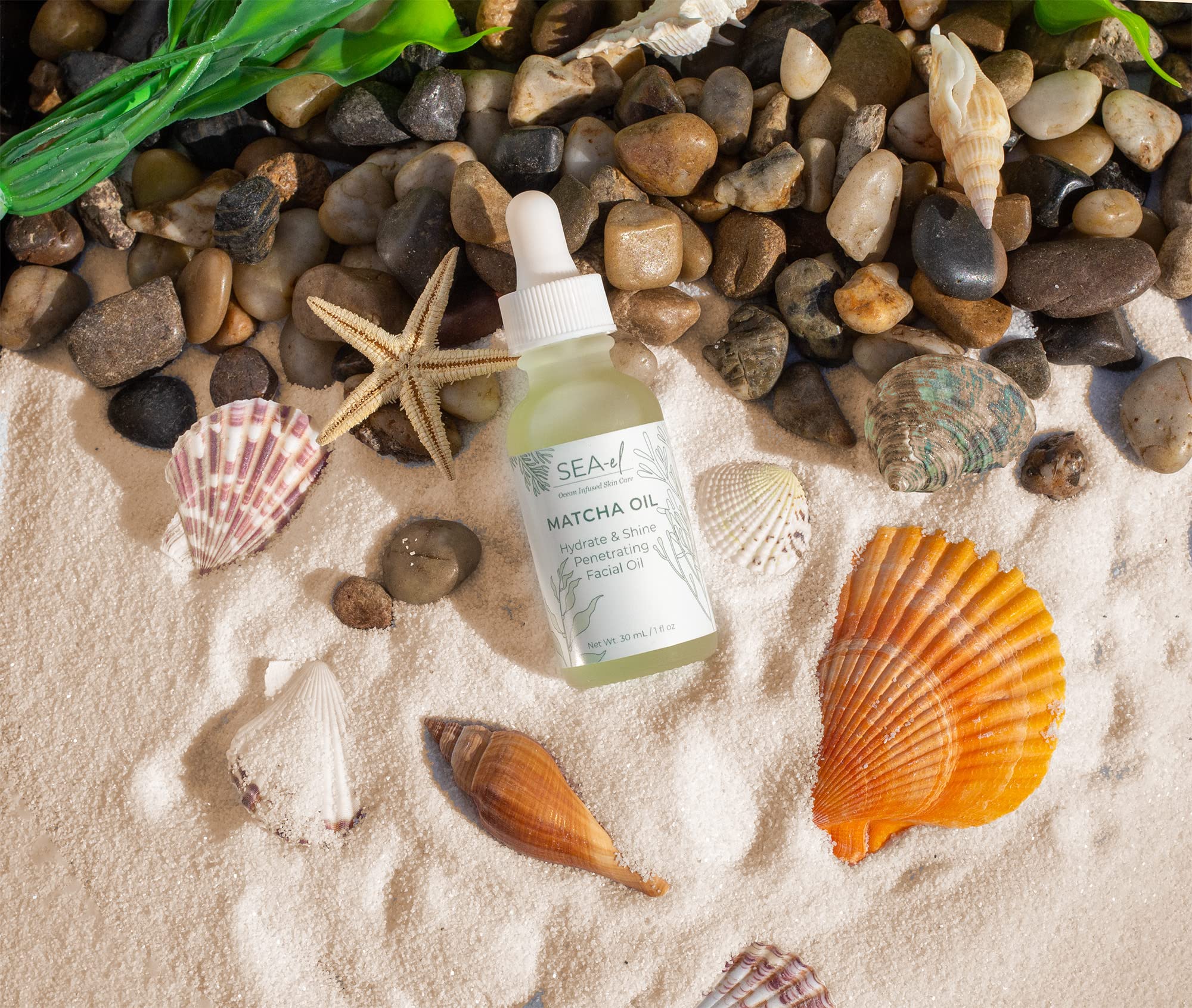Sea-El Matcha Face Oil Skincare – Hydrating Green Tea & Sea Kelp Facial Oil