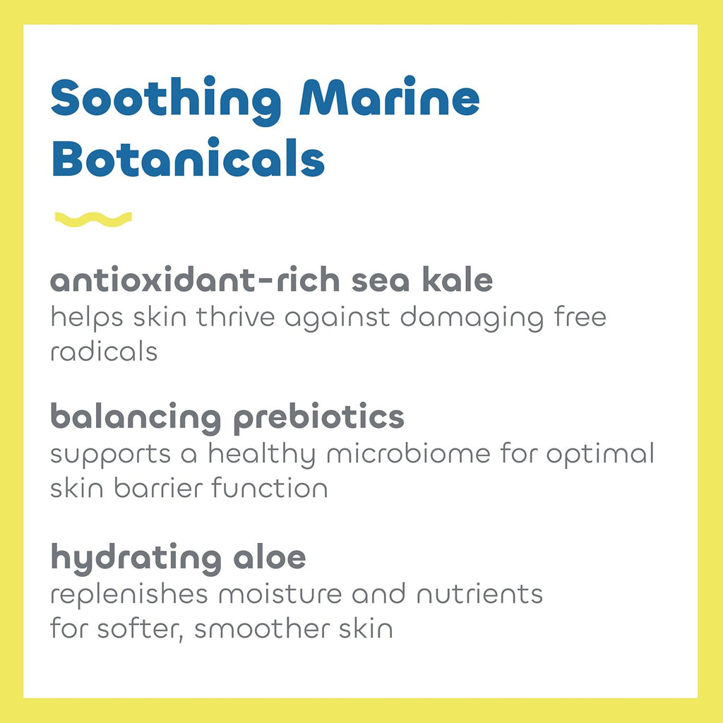 Seaweed Bath Co. Everyday Mineral SPF 40 Sunscreen Lotion – Broad Spectrum, Vegan & Cruelty-Free, 3.4 oz