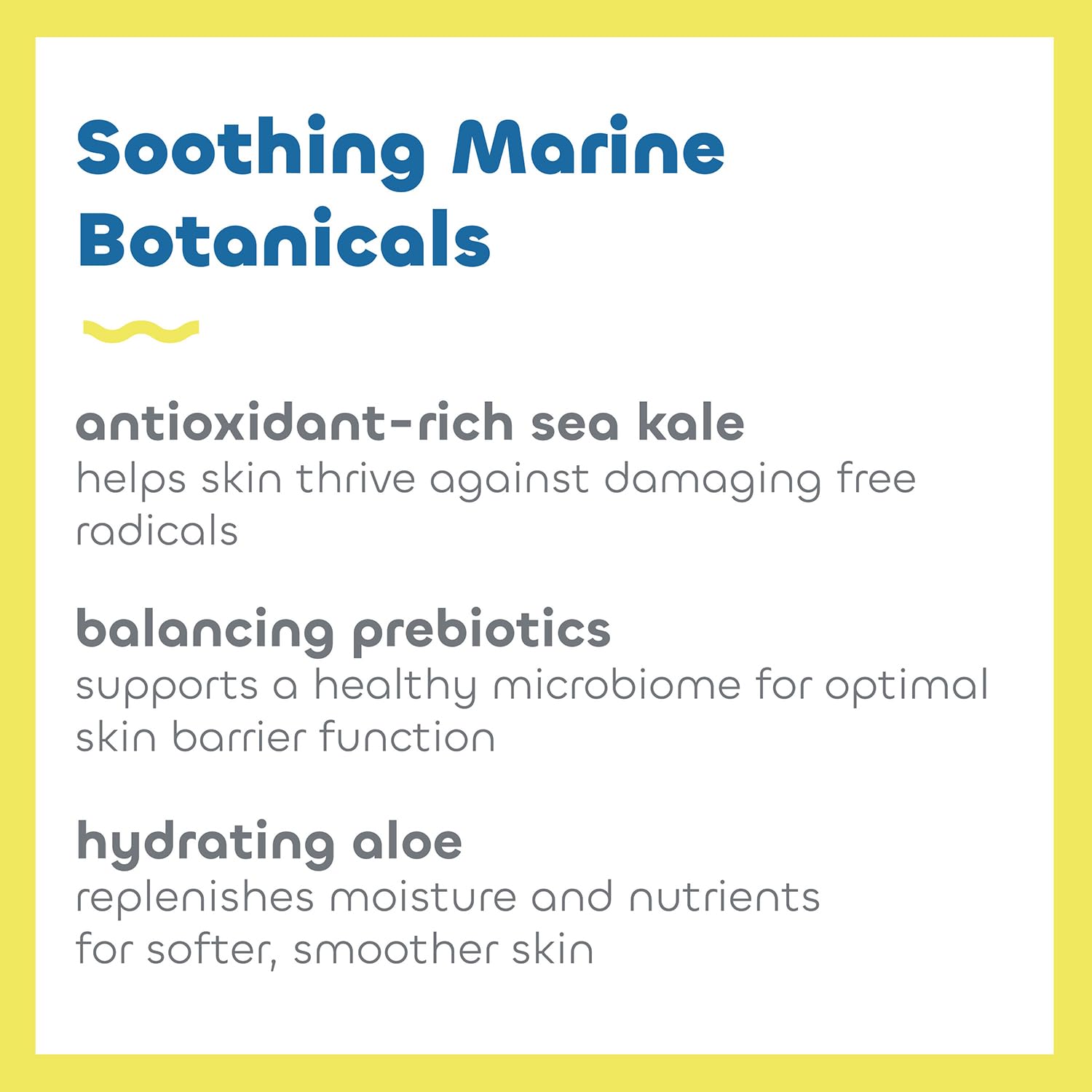 Seaweed Bath Co. Everyday Mineral SPF 40 Sunscreen Lotion – Broad Spectrum, Vegan & Cruelty-Free, 3.4 oz