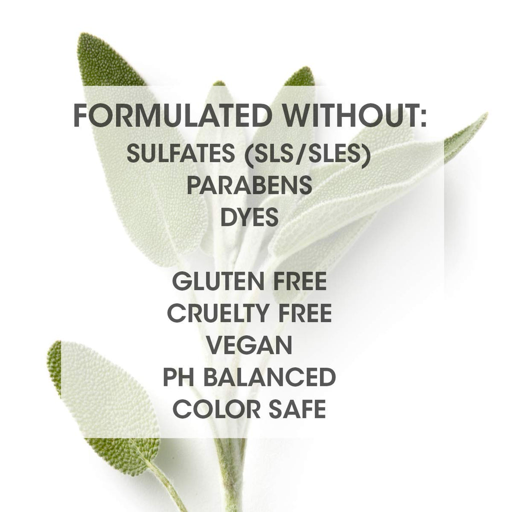SEVEN Satara Volume Shampoo – Sulfate-Free, Vegan, Made in USA
