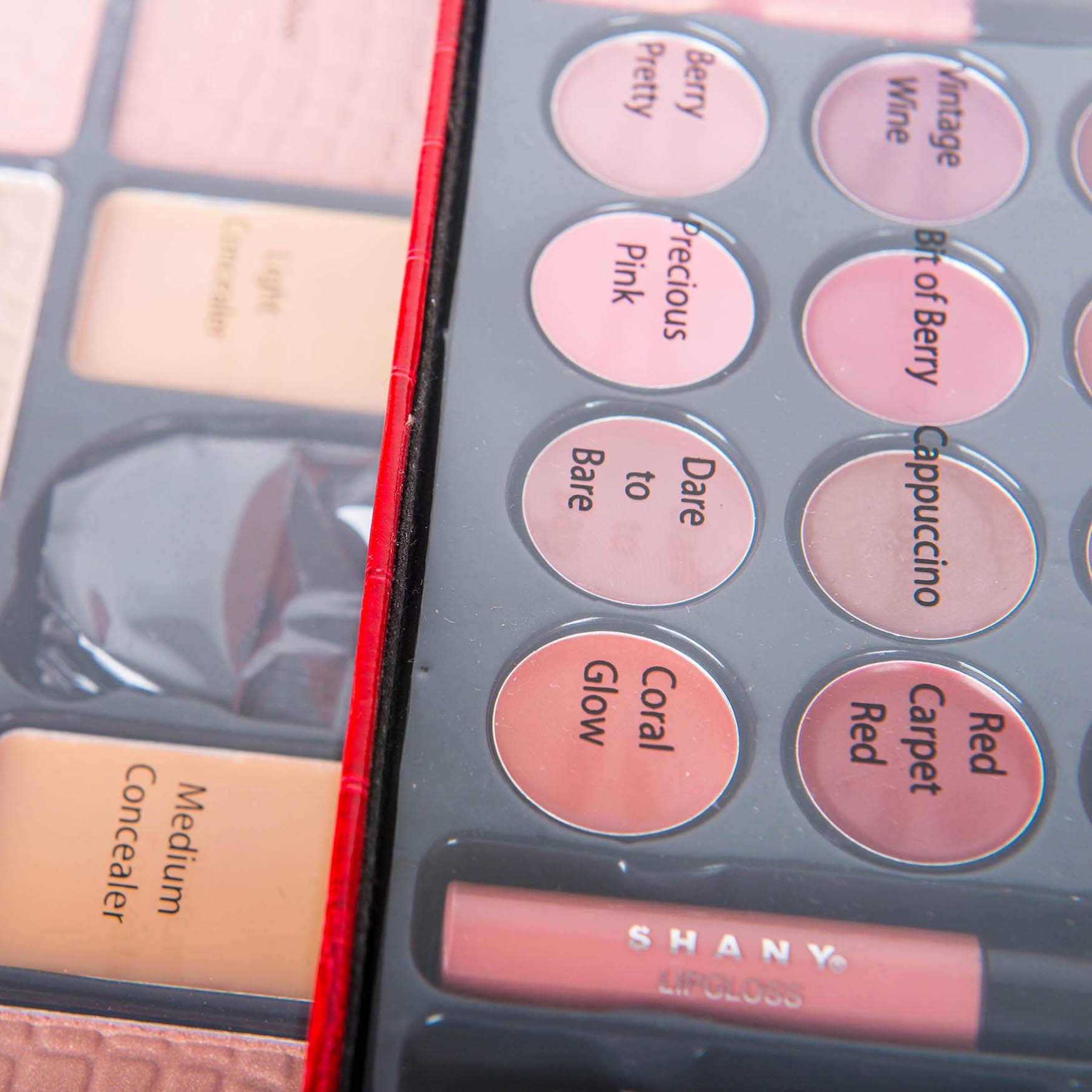 SHANY All In One Makeup Set - 67 Colors Eyeshadow, Blush, Face Powder, Lipstick & Liners in Reusable Red Train Case
