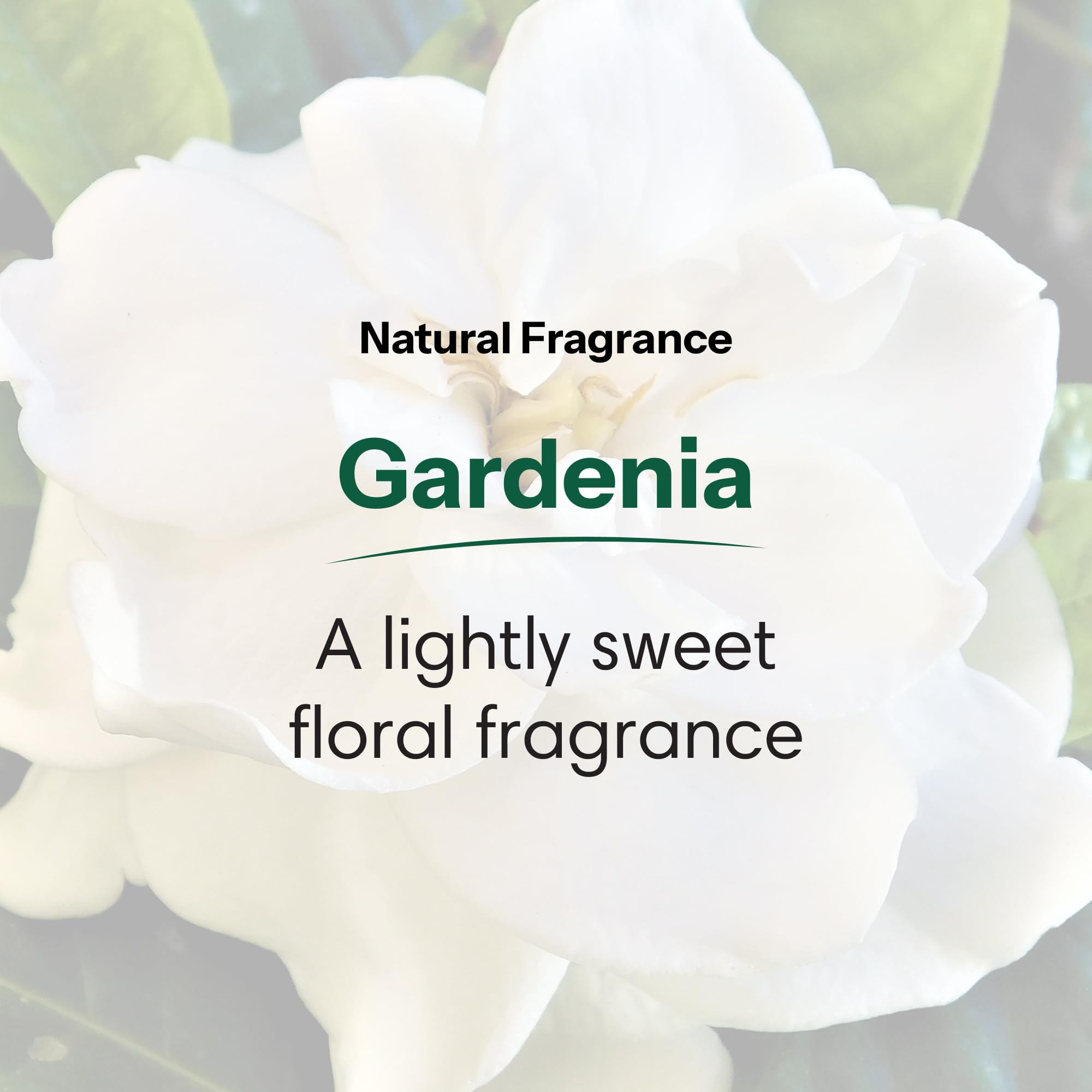 ShiKai Daily Moisturizing Shower Gel (Gardenia, 64 oz) | Gentle Soap-Free Body Wash for Dry Skin